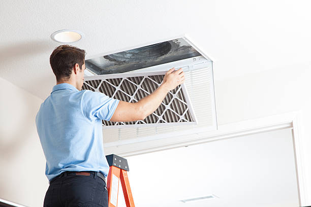 Best Local HVAC Companies  in La Plata, MO